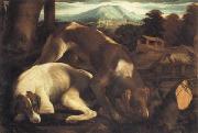 Two Dogs Jacopo Bassano